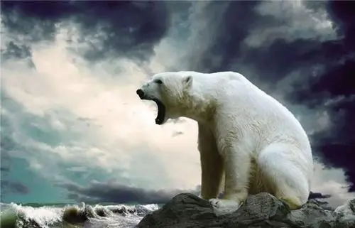 第二類醫(yī)療器械生產(chǎn)許可證很難申請嗎？(圖1)