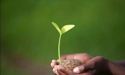 如何成為一名優(yōu)秀的CRC？分享CRC快速成長秘籍(圖1)