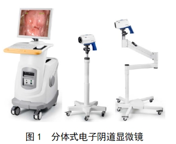 電子陰道顯微鏡注冊(cè)技術(shù)審查指導(dǎo)原則(2018年第15號(hào))(圖1) 電子陰道顯微鏡注冊(cè)技術(shù)審查指導(dǎo)原則(2018年第15號(hào))(圖1)