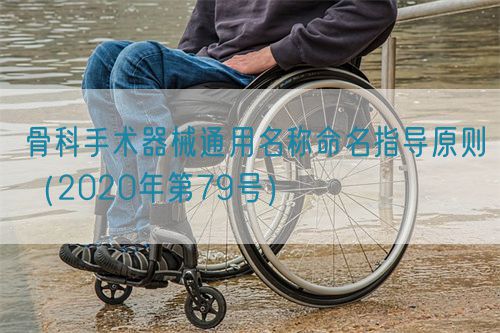 骨科手術(shù)器械通用名稱命名指導(dǎo)原則（2020年第79號(hào)）(圖1)