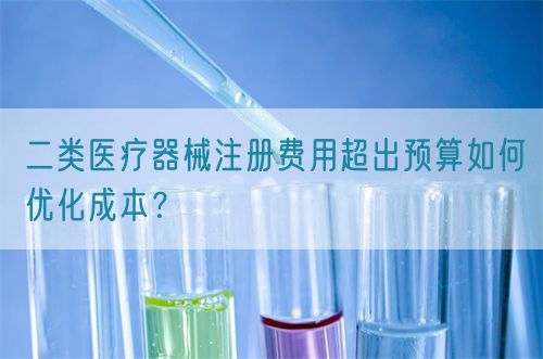 二類醫(yī)療器械注冊費用超出預(yù)算如何優(yōu)化成本？(圖1)