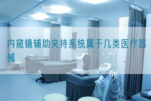 內(nèi)窺鏡輔助夾持系統(tǒng)屬于幾類醫(yī)療器械(圖1)