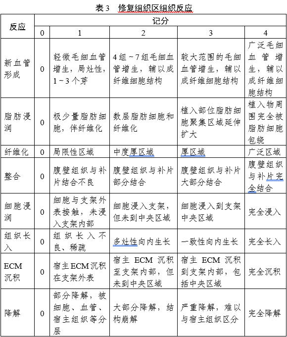 軟組織再生型疝修補補片動物試驗研究技術(shù)審評要點（2025年第26號）(圖3)