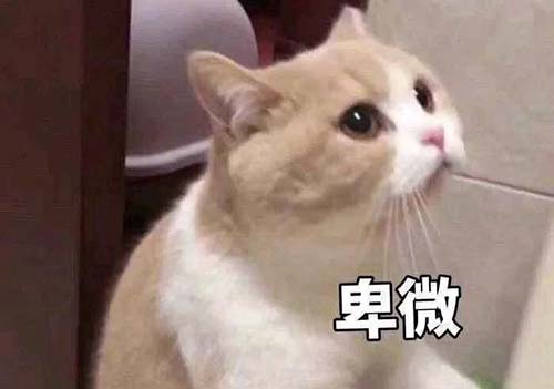 無經驗怎么入行CRA？入行CRA的硬性條件有哪些？(圖3)