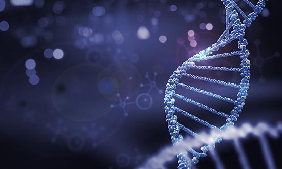 什么是Ⅰ期臨床研究？一文搞懂Ⅰ期臨床試驗(yàn)全過程(圖3)