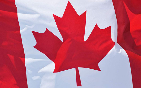 醫(yī)療器械出口歐美日韓澳加要辦什么手續(xù)？(圖4)