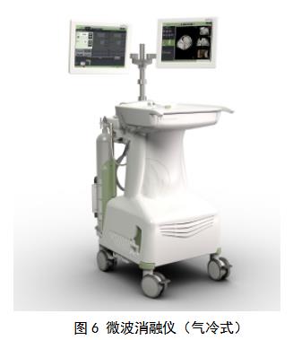 微波消融設(shè)備注冊審查指導(dǎo)原則（2021年第93號）(圖7)