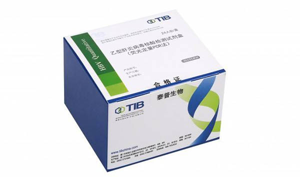 乙型肝炎病毒脫氧核糖核酸定量檢測試劑注冊技術(shù)審查指導原則（2013年第3號）(圖1)