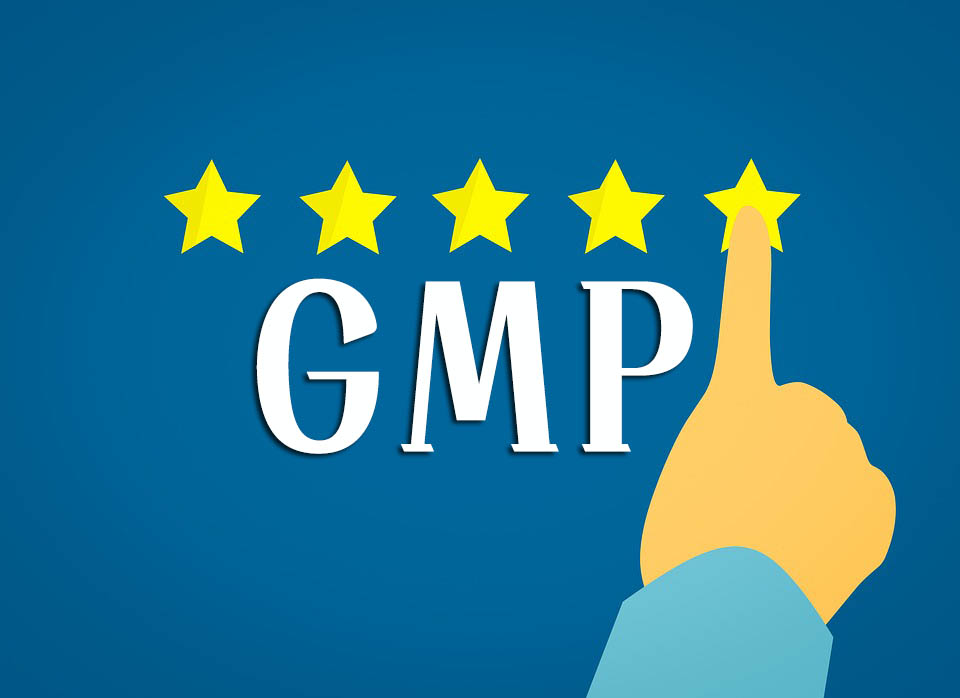 GMP知識(shí)手冊(cè)匯總（GMP專員、企業(yè)生產(chǎn)質(zhì)量負(fù)責(zé)人必備）(圖1)