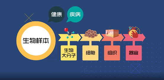 淺談CRC生物樣本管理！生物樣本采集、處理、存儲(chǔ)、運(yùn)輸全過(guò)程注意事項(xiàng)(圖1)