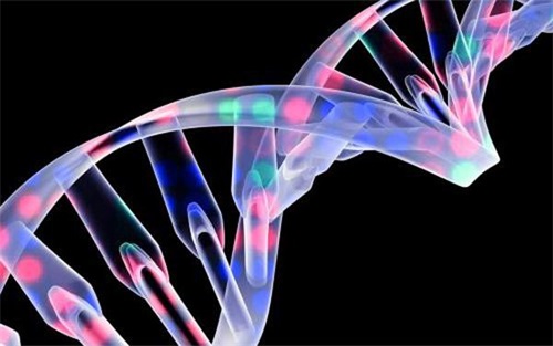 生物相容性是什么意思？怎么判斷醫(yī)療器械要做哪些生物相容性測試項目？(圖1)