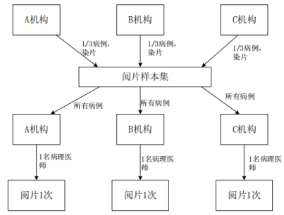PD-L1檢測試劑臨床試驗—結(jié)果重現(xiàn)性研究注冊審查指導(dǎo)原則(2022年第27號)(圖5) PD-L1檢測試劑臨床試驗—結(jié)果重現(xiàn)性研究注冊審查指導(dǎo)原則(2022年第27號)(圖5)