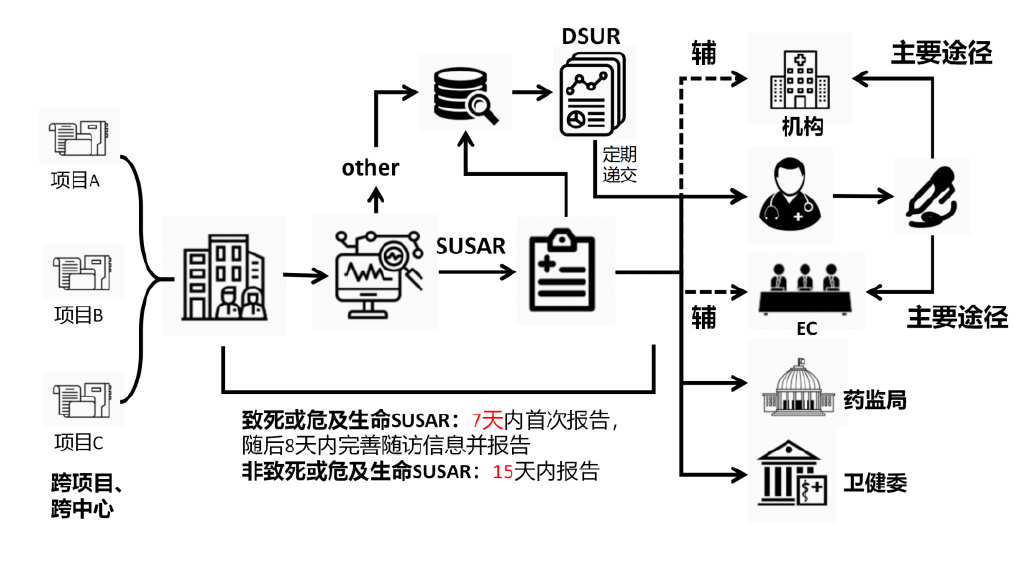 臨床試驗安全性事件如何上報？臨床試驗不良事件上報流程圖(圖3)