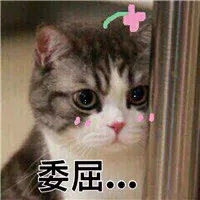 實(shí)驗(yàn)室原始記錄從哪里下手開(kāi)始檢查？(圖2)